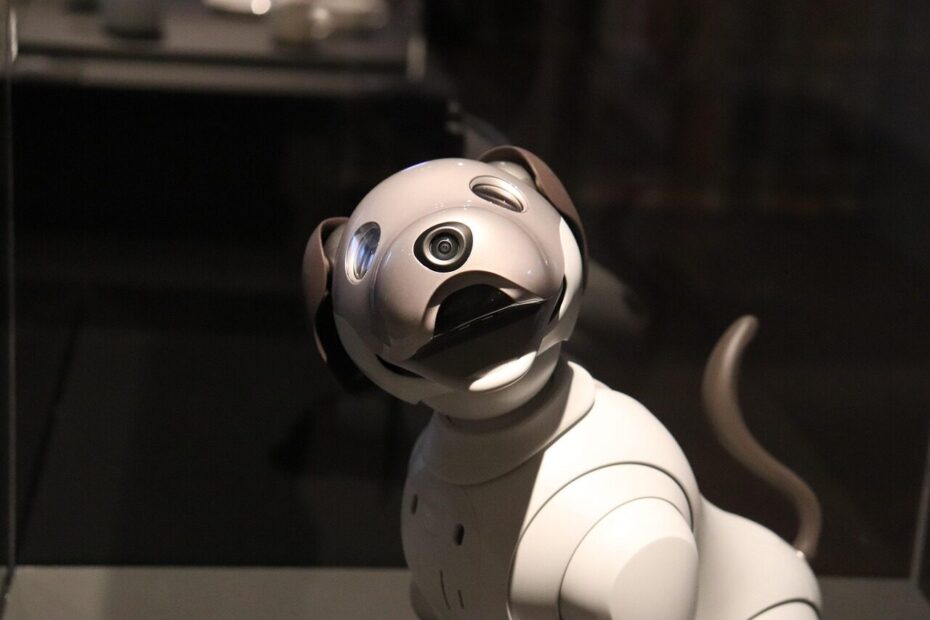 robot, animal, dog, mechanics, design, muzzle, technology, japanese